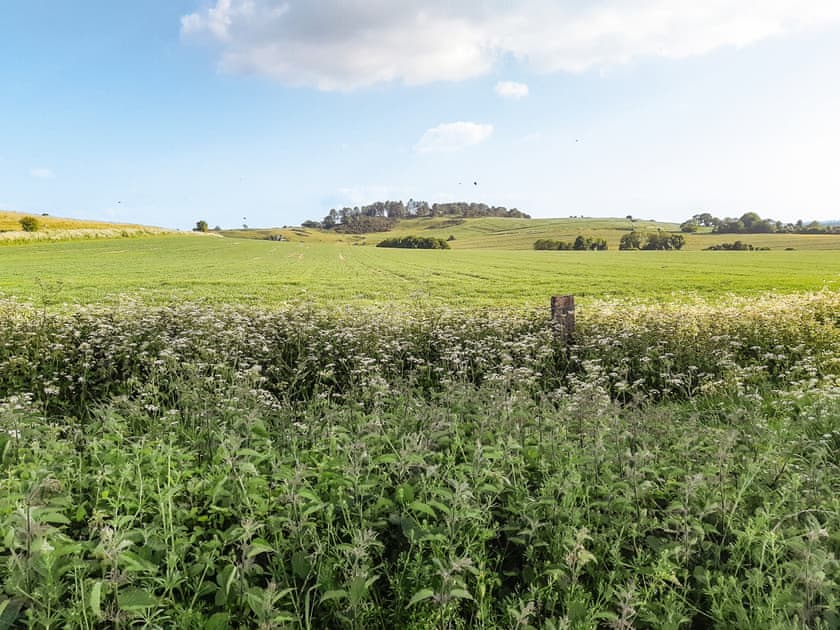 Surrounding area | Whitey Top Country Lodge - Whitey Top Lodges, Pentridge
