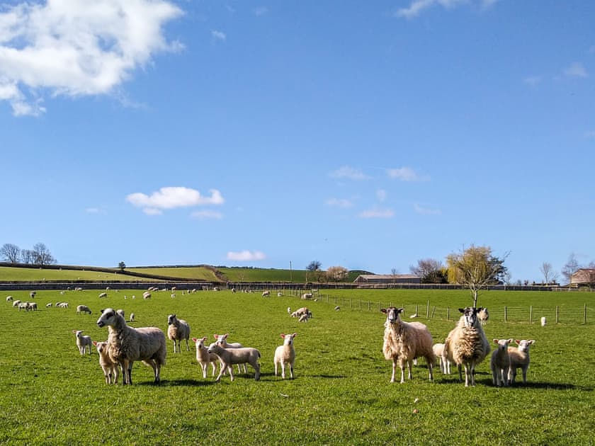 Rural setting  | Corner Cottage - Brackenthwaite Holidays, Arnside and Silverdale