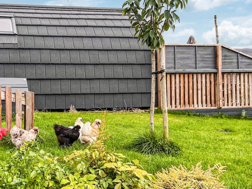 Surrounding Area | Maggie’s Cabin, Oban