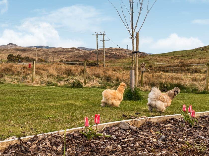 Surrounding Area | Maggie’s Cabin, Oban