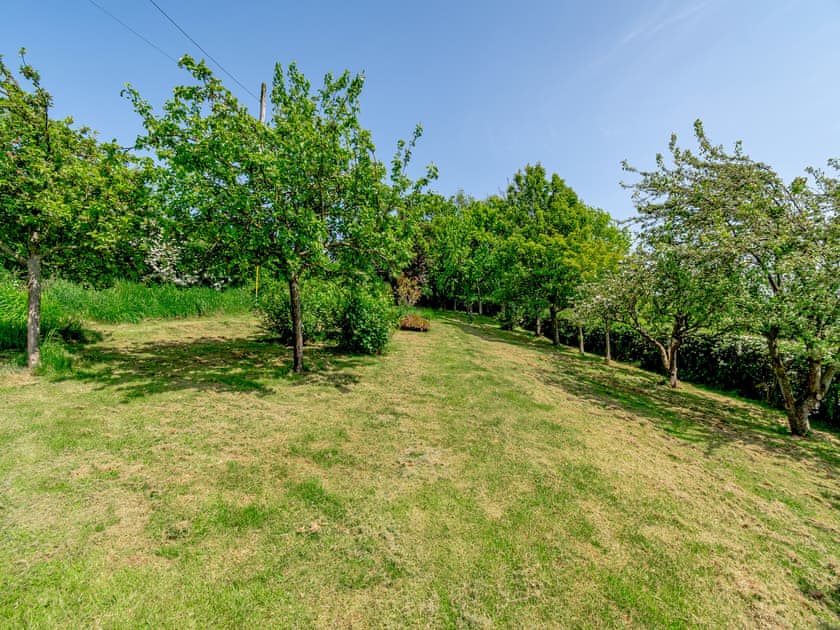Garden and grounds | Gunpowder House, East Barnby, near Whitby