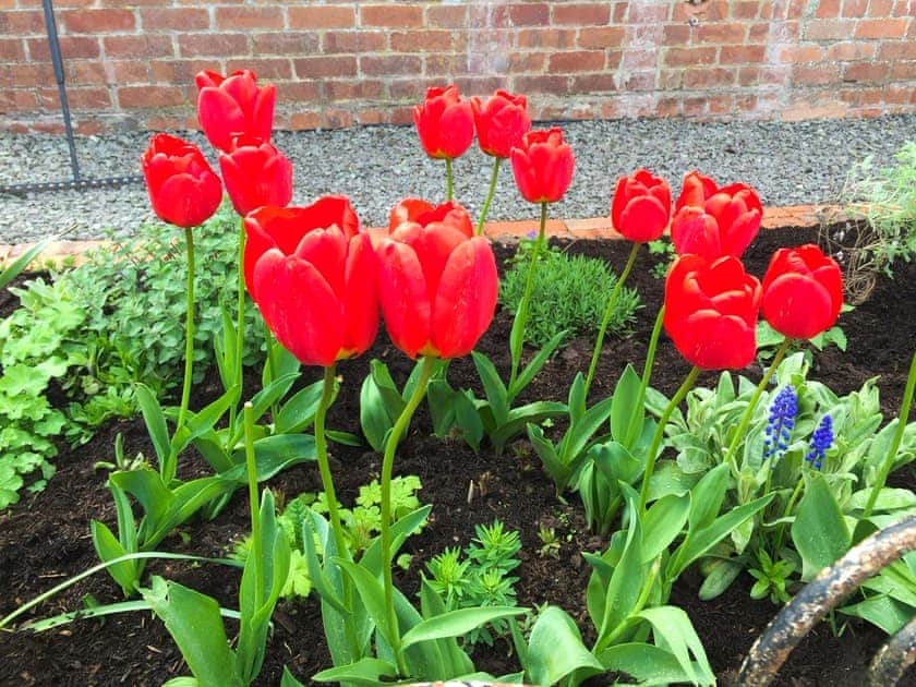 Garden | Gwrlodde, Talgarth, near Brecon
