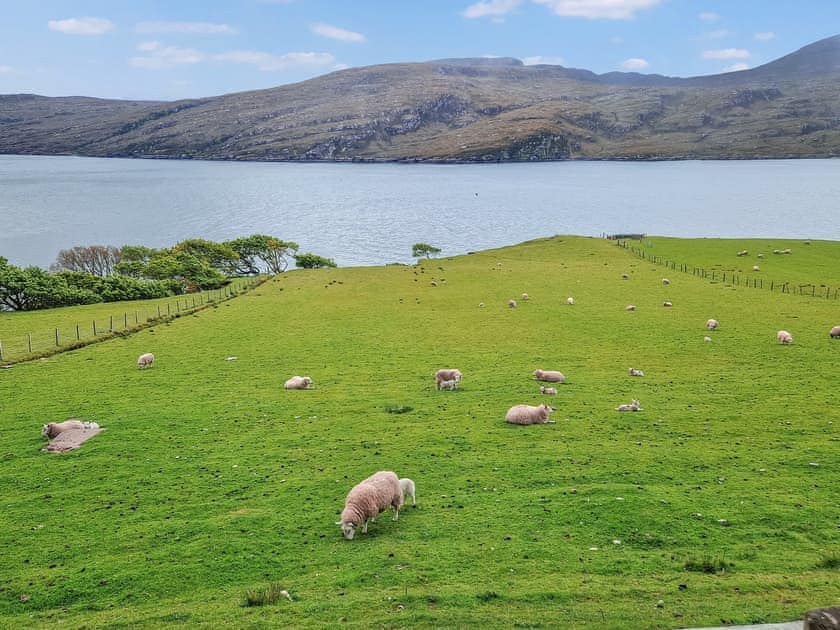 View | Westfield House, Rhue near Ullapool, Ross-shire