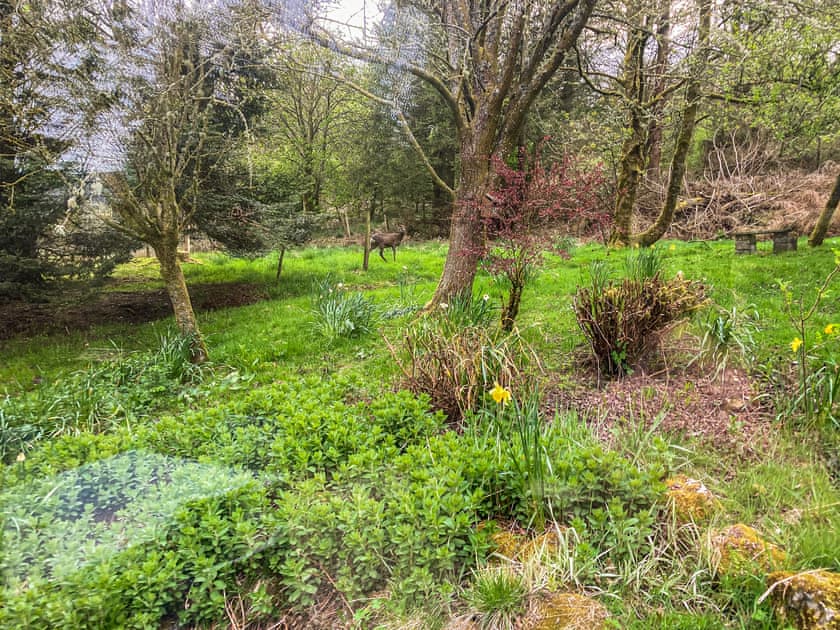 Surrounding area | Red Squirrel Haven, Snaizeholme, near Hawes
