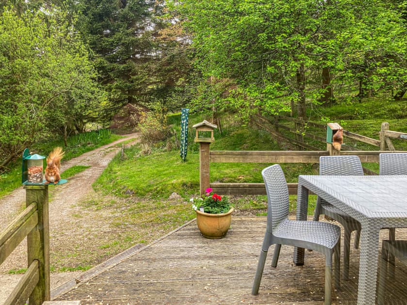 Outdoor area | Red Squirrel Haven, Snaizeholme, near Hawes