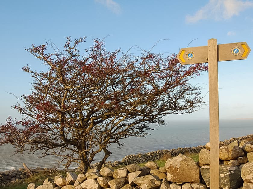 Surrounding area | Wulfrun, Tywyn