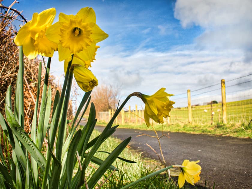 Surrounding area | Wulfrun, Tywyn