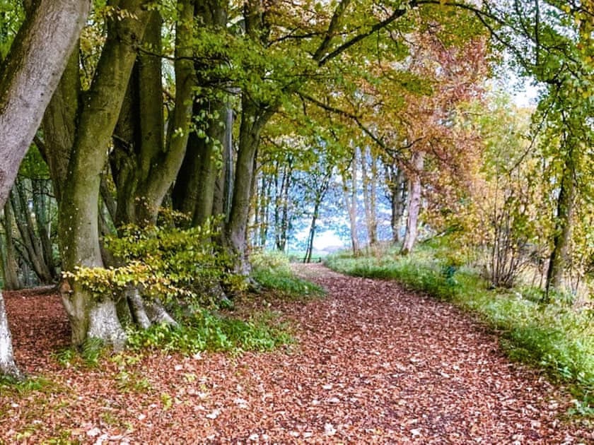 Surrounding area | Castle Park, Ceres, near Cupar