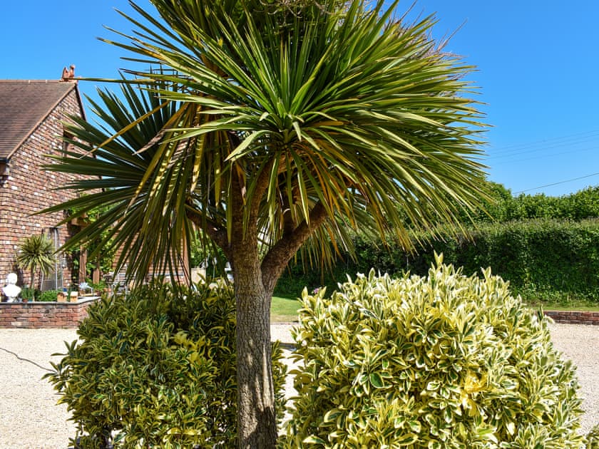 Exterior | Brook Cottage - Sunnyfield, Bilbrook, Minehead