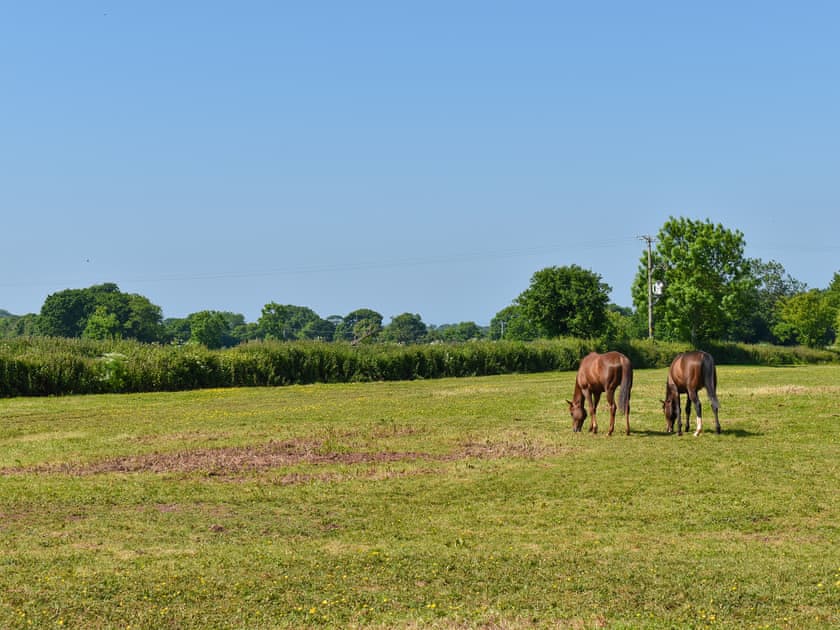 Surrounding area | Brook Cottage - Sunnyfield, Bilbrook, Minehead