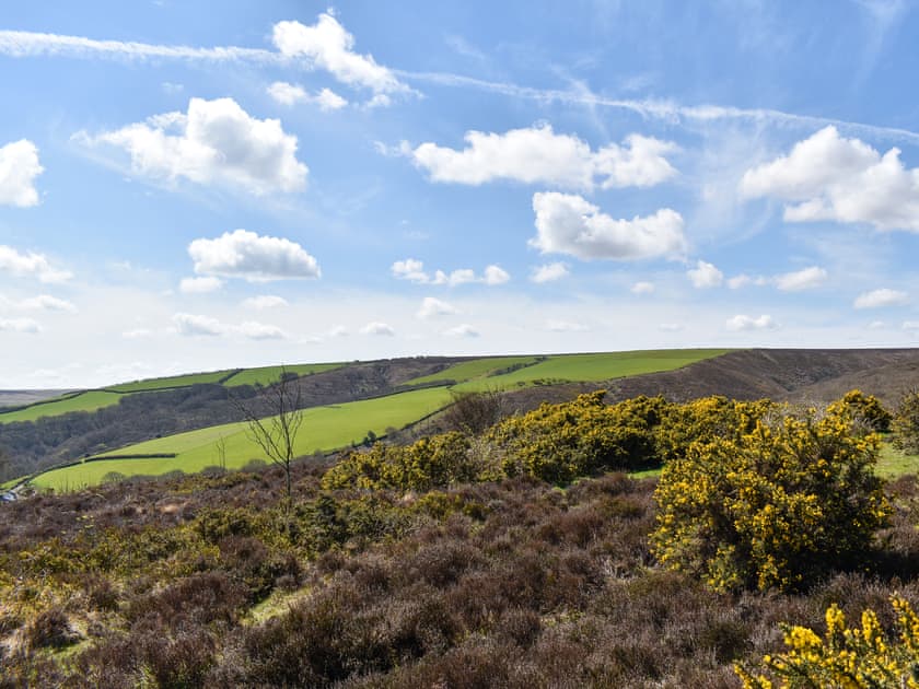 Surrounding area | Brook Cottage - Sunnyfield, Bilbrook, Minehead