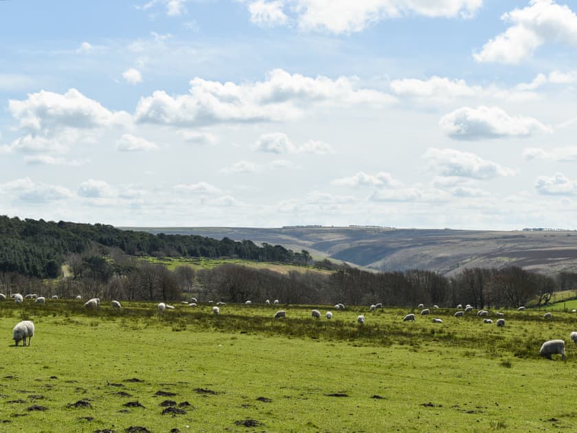 Surrounding area | Brook Cottage - Sunnyfield, Bilbrook, Minehead