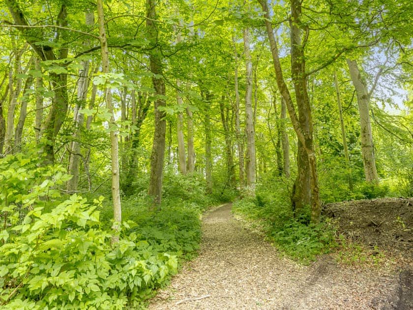Surrounding area | The Cottage - Barrock House, Lyth, near Wick