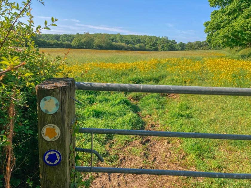 Surrounding area | Barnyard, Chetnole, near Sherborne