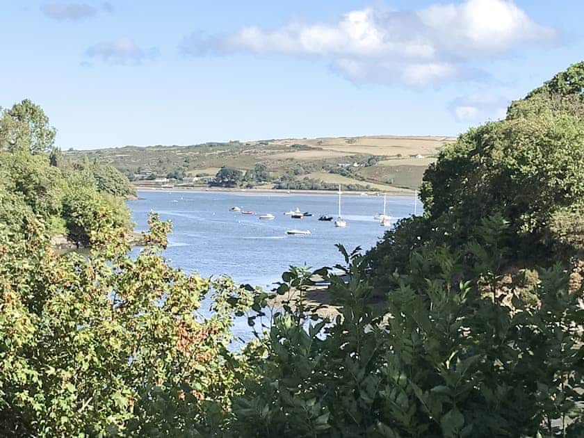 Riverside views from St Dogmaels  | Ferry View, St Dogmaels, near Cardigan