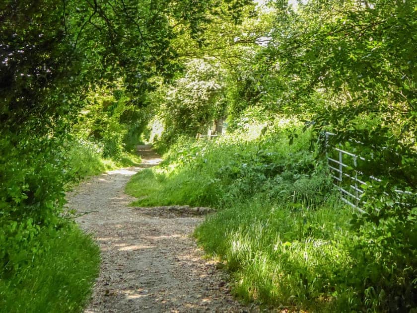 Surrounding area | The Old Cook House, Winchester
