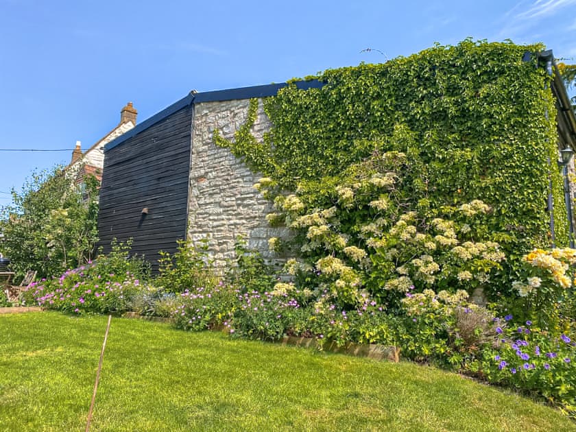 Garden | The Stable, Carlingcott