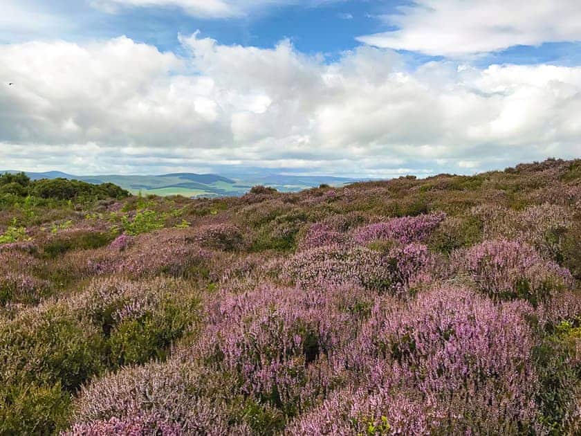Surrounding area | Stable Yard Cottage - Castleton Cottages, Greenlaw, near Duns