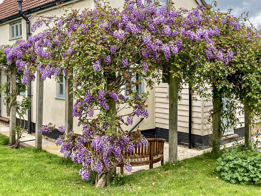 Garden | Hope Cottage, Barsham, near Beccles