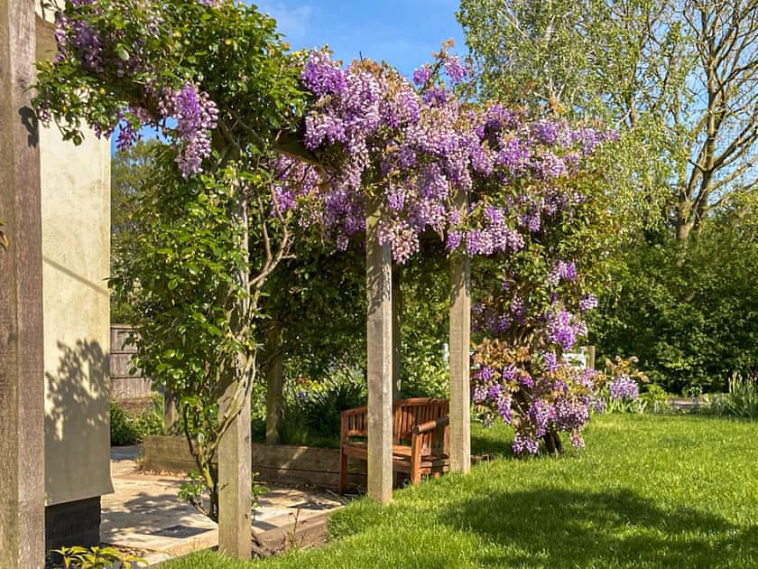 Garden | Hope Cottage, Barsham, near Beccles
