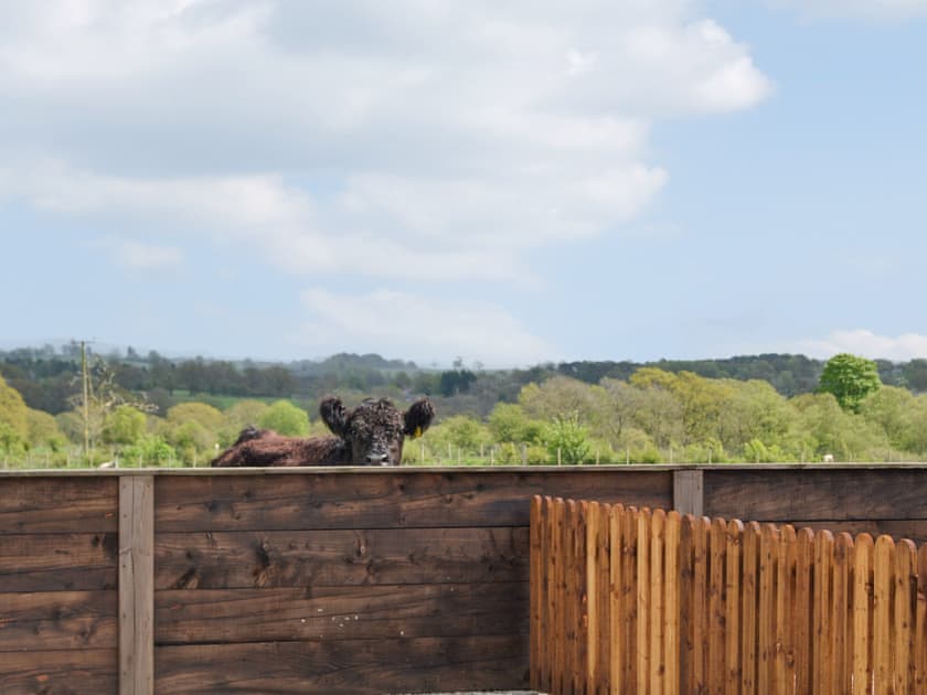 View | Fell View Cottage - Old View Holidays, Carlisle