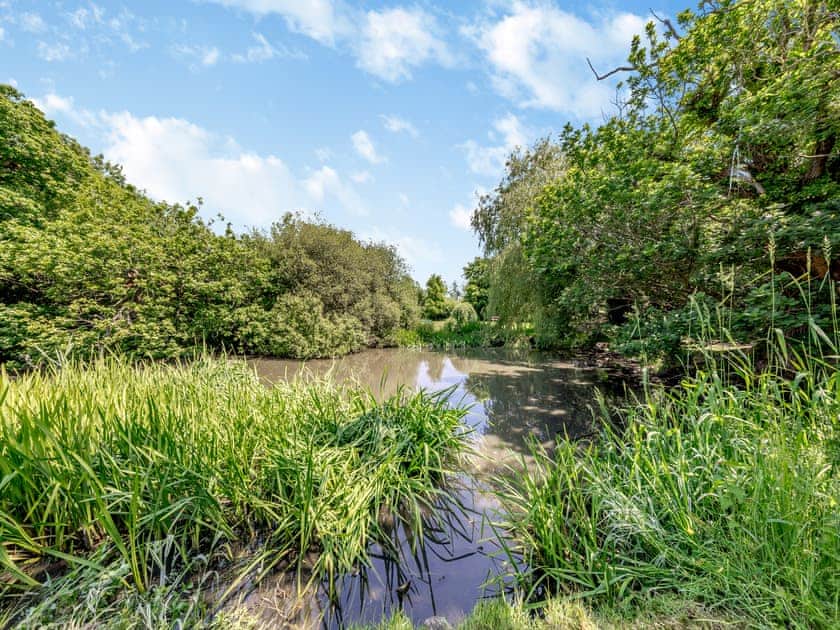 Surrounding area | Lavender Cottage - Pen y Bryn Farm and Holiday Cottages, Betws Yn Rhos
