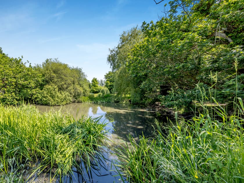 Surrounding area | Primrose Cottage - Pen y Bryn Farm and Holiday Cottages, Betws Yn Rhos