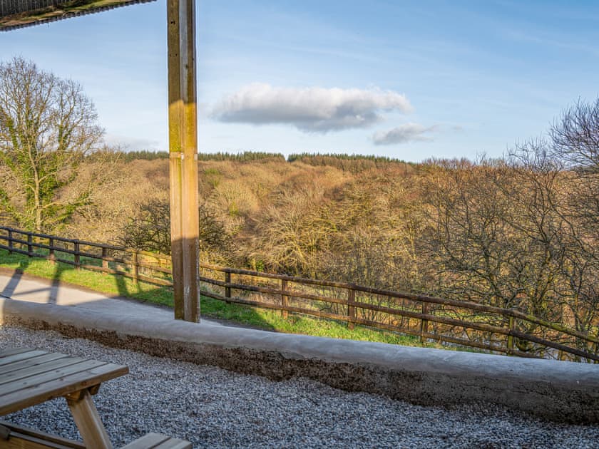 View | Shepherds Hut at Northcombe Farm, Beaworthy