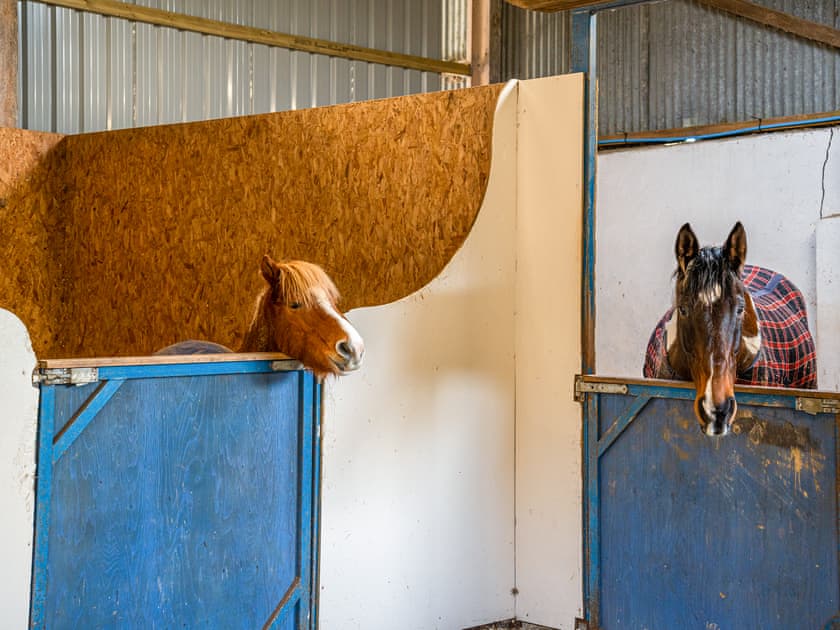 Surrounding area | Shepherds Hut at Northcombe Farm, Beaworthy