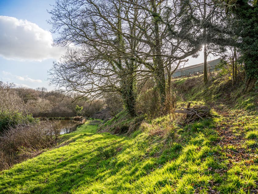 Surrounding area | Shepherds Hut at Northcombe Farm, Beaworthy