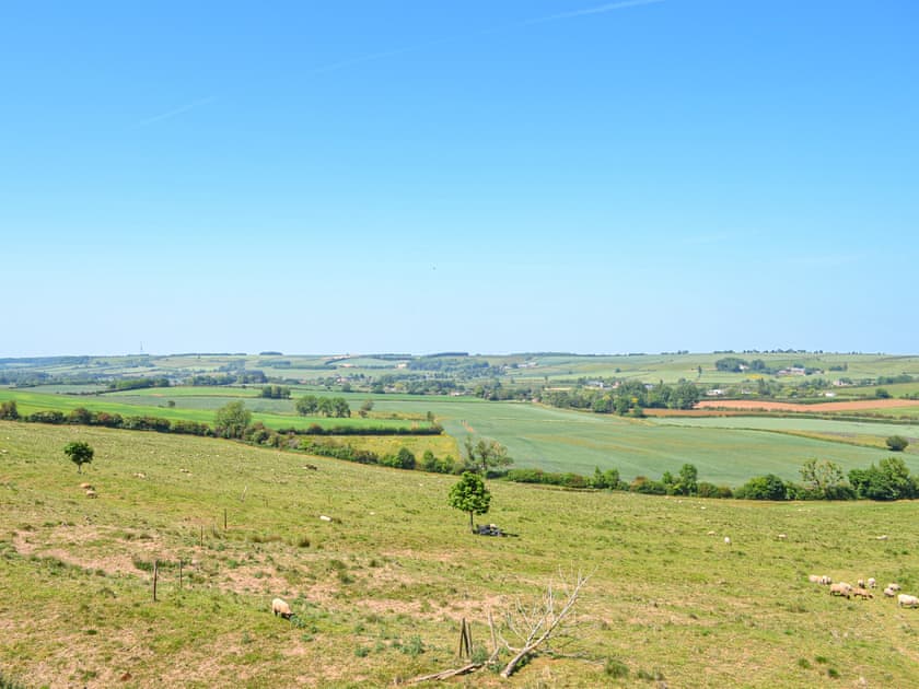 Surrounding area | Juice Trump - Poachers Hideaway, Belchford