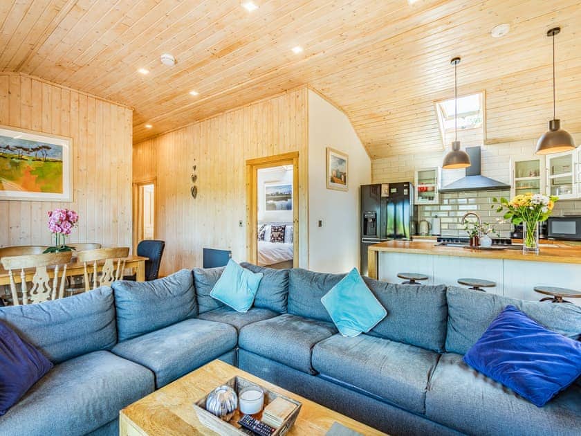 Open plan living space | Jasmine Lodge - The Orchard Luxury Lodges, Hadleigh