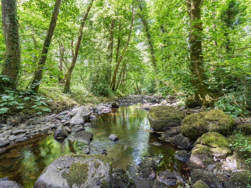 Surrounding area | The Forge, Llanfair Clydogau, near Lampeter