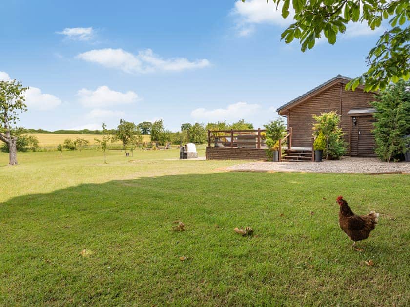 Surrounding area | Bramble Lodge - The Orchard Luxury Lodges, Hadleigh