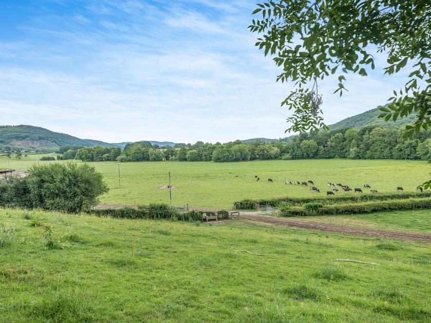View | Court Cottage, Knill, near Presteigne