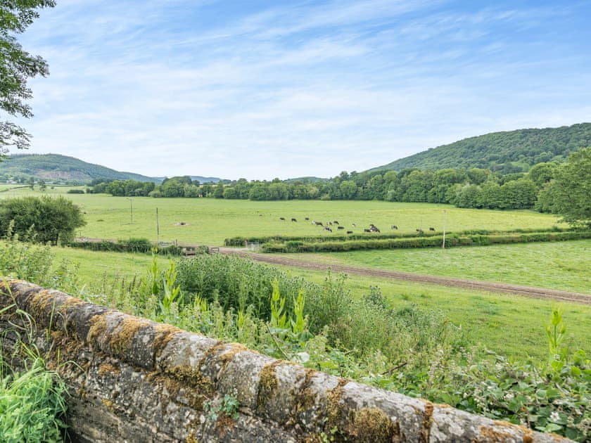 View | Court Cottage, Knill, near Presteigne