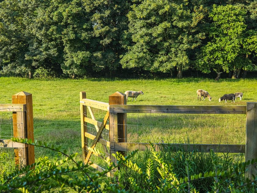 Surrounding area | Meadow View, North Walsham