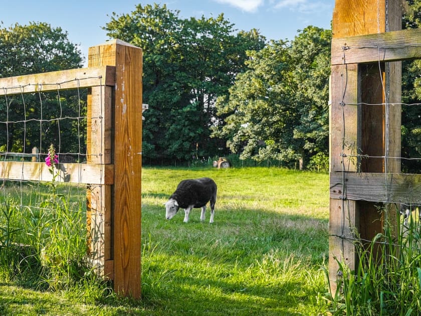 Surrounding area | Meadow View, North Walsham