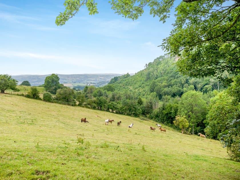 View | Angel Cottage, Brecon