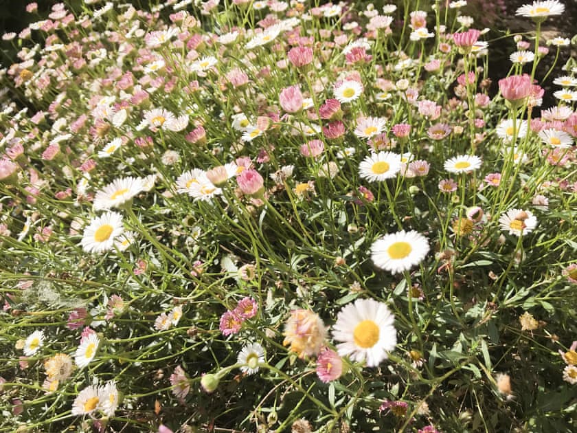 Surrounding area | Love Heart Cottage - Heart Cottages, Wickham Market