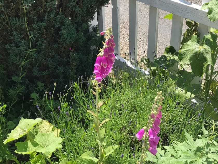 Garden | Love Heart Cottage - Heart Cottages, Wickham Market