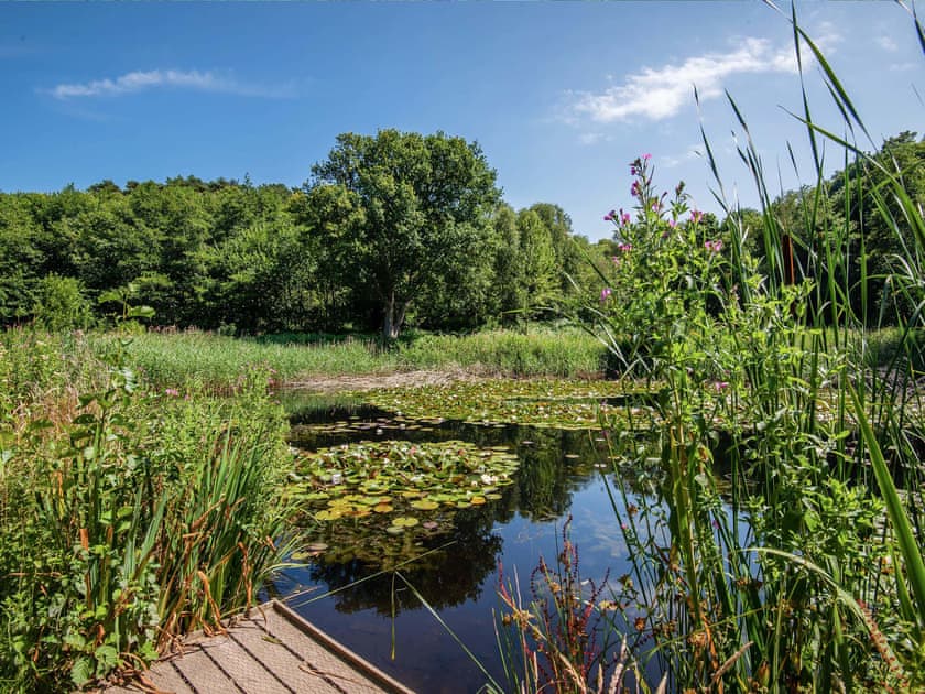 Surrounding area | Robin’s Retreat, Kelling Heath