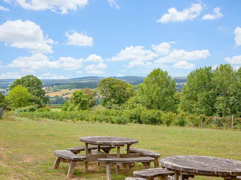Outdoor area | Shepherd’s Hut - East Hill Pride Farm, Harpford, near Sidmouth