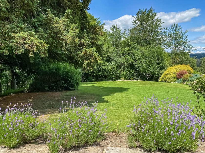 Garden | Church Cottage, Darley Bridge, near Matlock