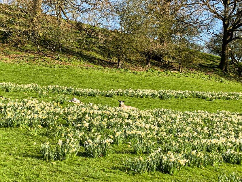 Surrounding area | The Bothy - Netherley Hall Cottages, Mathon, near Malvern