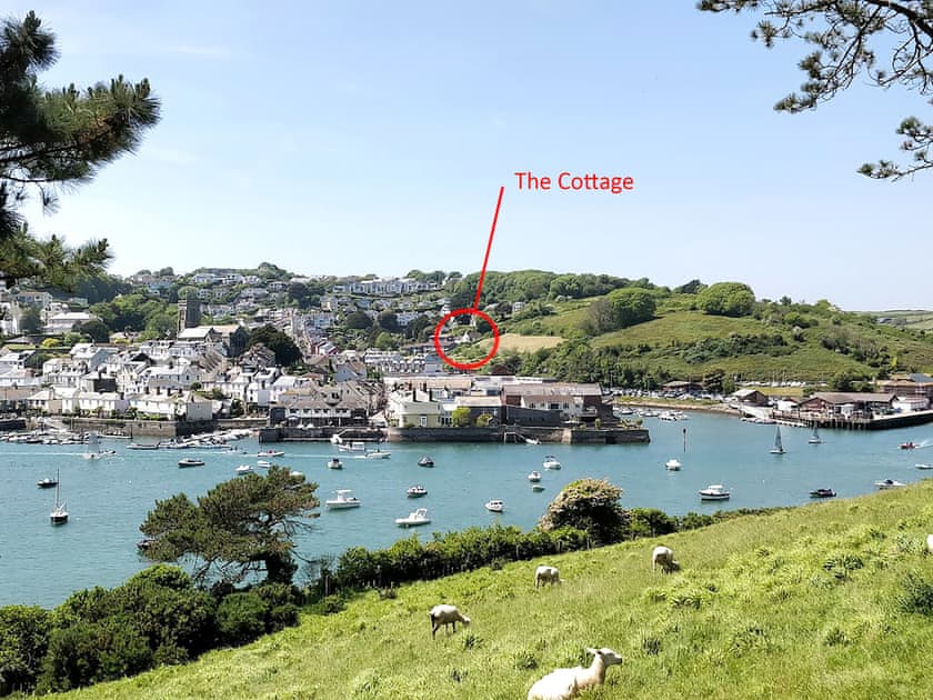 Surrounding area | The Cottage, Salcombe