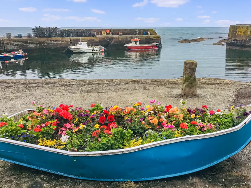 View | Harbour View, Johnshaven, near Stonehaven