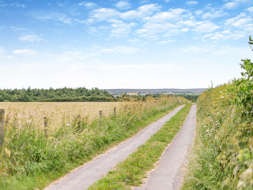Track to Thatchmire Farm  | The Wheelhouse, Liverton, near Staithes