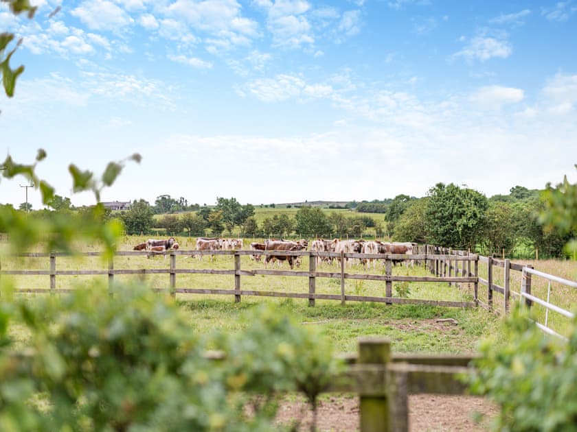 Surrounding area | The Wheelhouse, Liverton, near Staithes