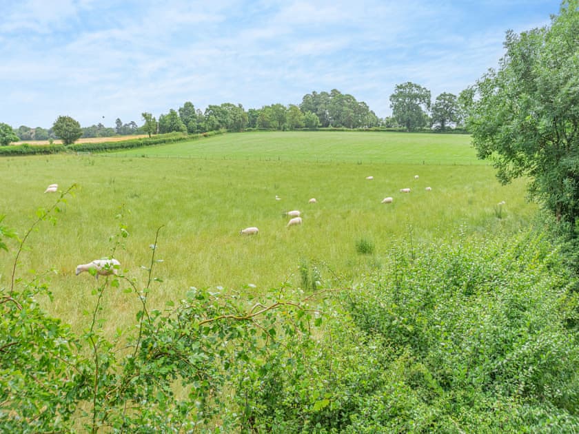 Surrounding area | The Mill Lodge, Malmesbury